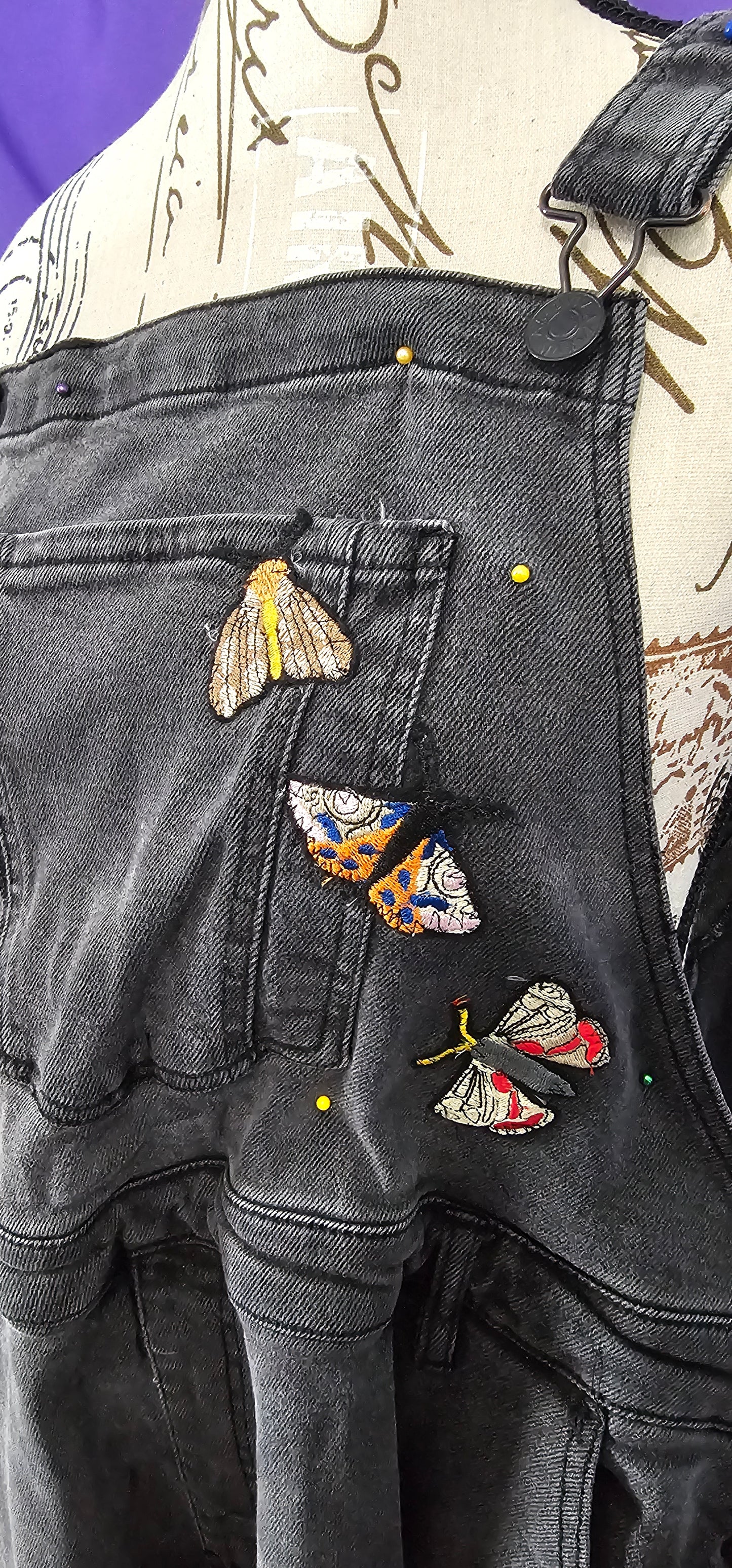 Brown and Orange Moth Patch