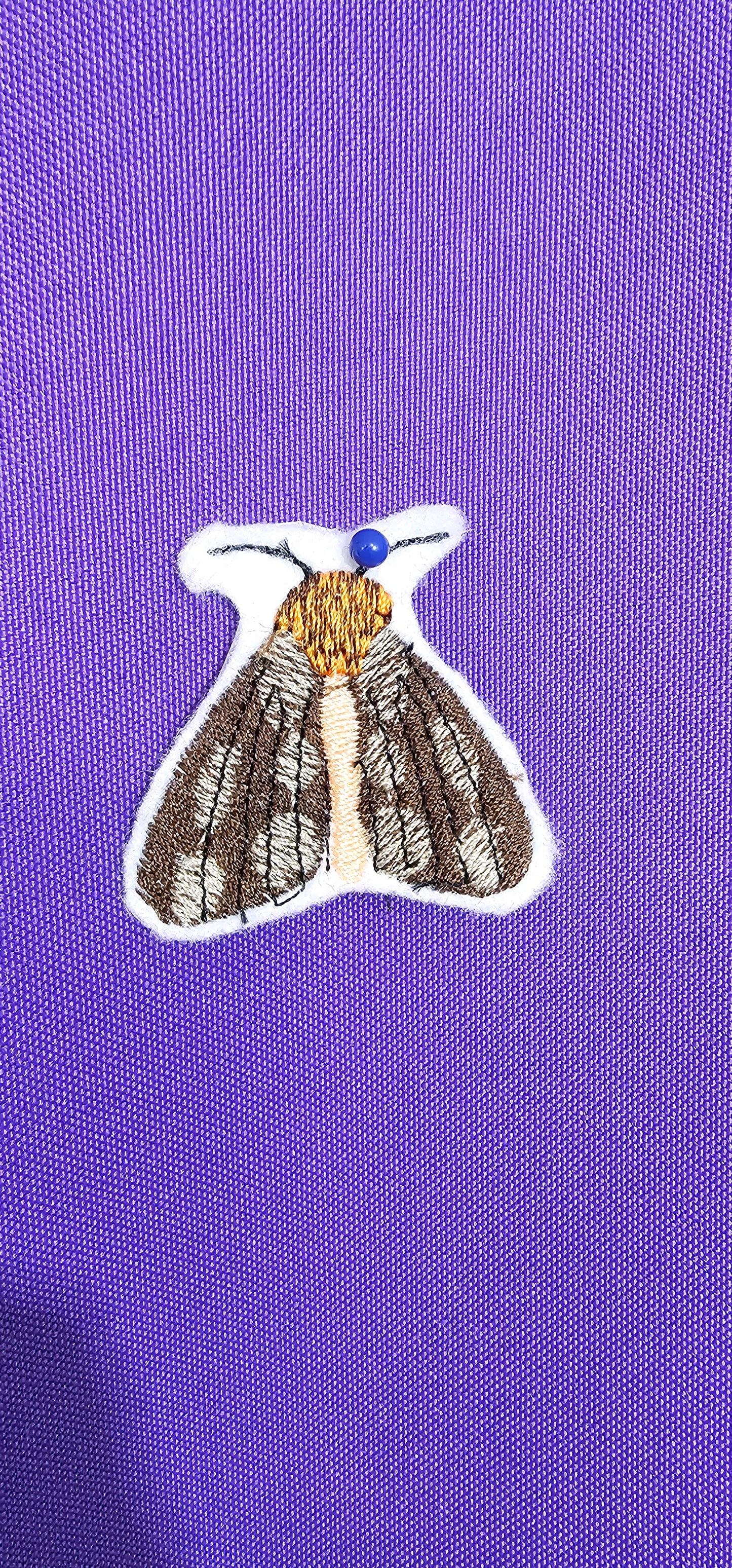 Brown and Orange Moth Patch