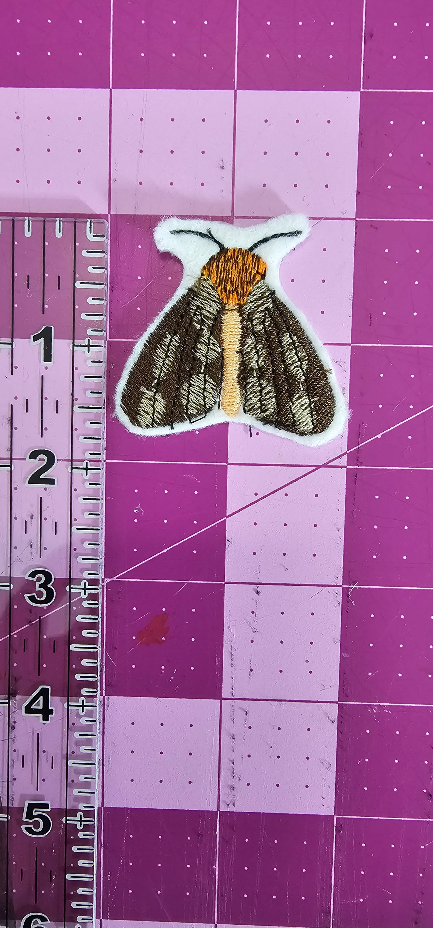Brown and Orange Moth Patch